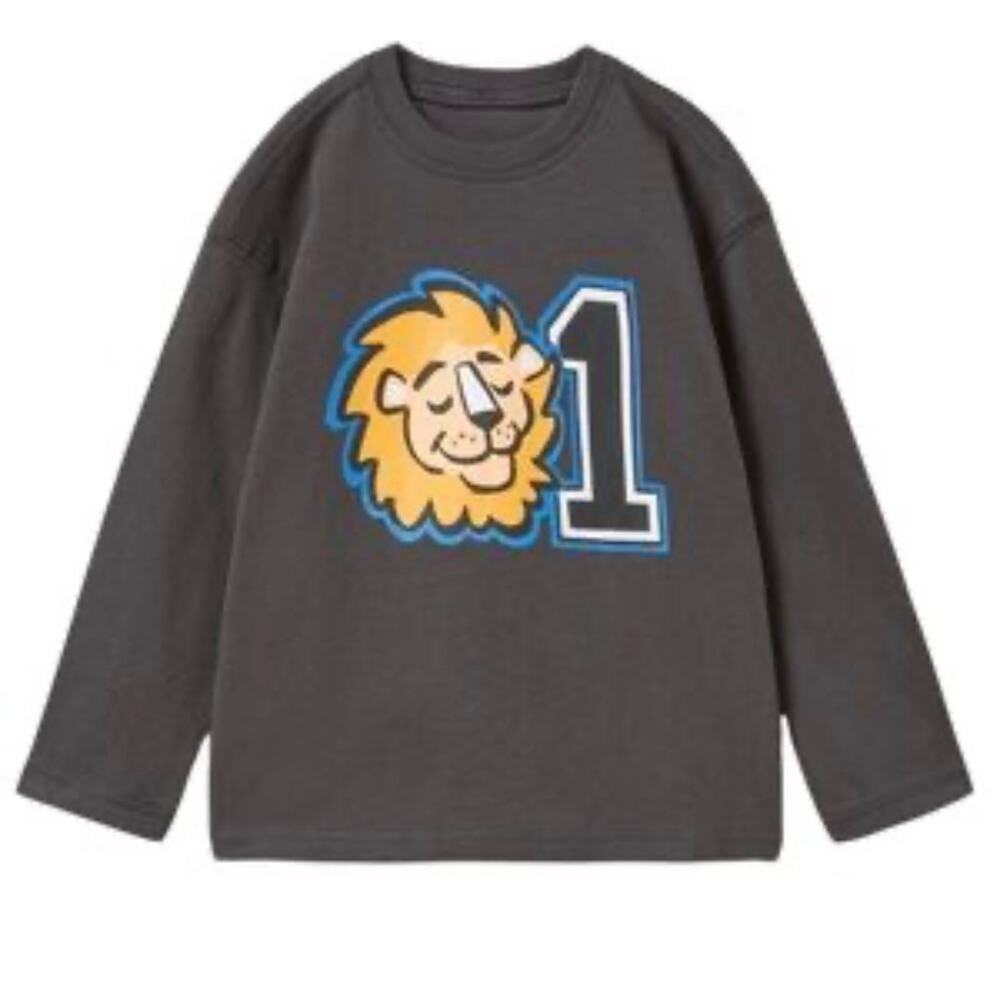Zara Boys Grey Lion Graphic Long Sleeve Shirt - Size 4/5